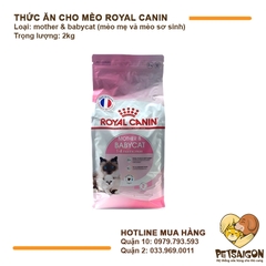 Royal Canin Mother & Babycat - Thức ăn hạt cho mèo mẹ mang thai và mèo con