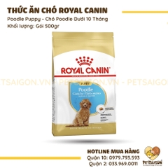 Thức Ăn Cho Chó Poodle Dưới 10 Tháng Royal Canin Poodle Puppy