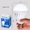 Bóng đèn LED tích điện cầm tay 12W