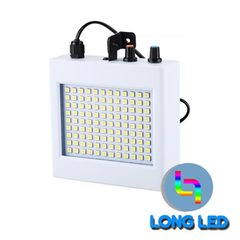 CHỚP LED 108B WHITE
