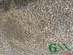 zeolite thủy sản