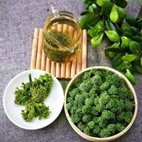 500g Nụ Hoa Tam Thất bao tử  Sapa loại 1 ( siêu nhỏ)