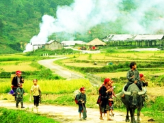 Group and Customized Private Tours