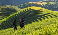 HANOI - SAPA TRANSFER