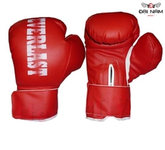 Găng tay Boxing Everlast