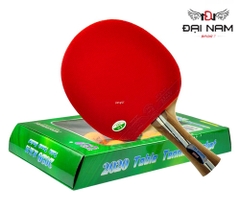 Vợt bóng bàn 729 2020