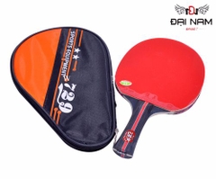 Vợt bóng bàn 729 1060