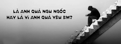 Không đề