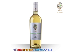 vang il pumo sauvignon