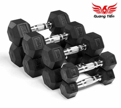 Tạ tay cao su lục giác cao cấp Iron Bull 10kg nhập khẩu ( giá 1 quả )