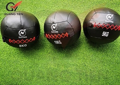 BÓNG TƯỜNG (WALLBALL)