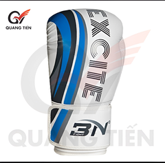 Găng Tay boxing Bn 4.0 EXICTE 2020 ( Xanh Trắng )