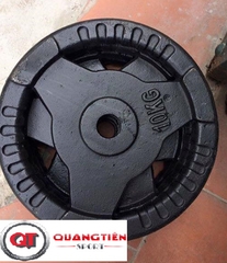 Bánh tạ gang Quang Tien sport QT-05