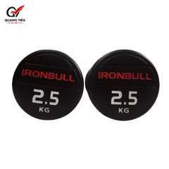 Tạ tay thép bọc cao su IronBull IR04 nhập khẩu 2,5kg ( giá 1 quả )