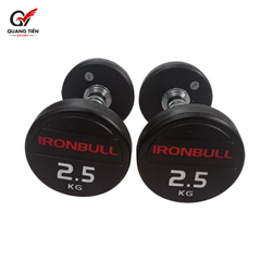 Tạ tay thép bọc cao su IronBull IR04 nhập khẩu 2,5kg ( giá 1 quả )