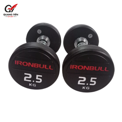 Tạ tay thép bọc cao su IronBull IR04 nhập khẩu 2,5kg ( giá 1 quả )