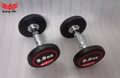 Tạ tay thép bọc cao su tay inox cao cấp Goldnova 2,5kg nhập khẩu (giá 1 chiếc)