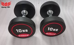 Tạ tay thép bọc cao su tay inox cao cấp Goldnova 2,5kg nhập khẩu (giá 1 chiếc)