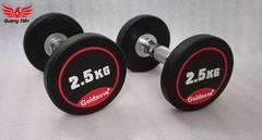 Tạ tay thép bọc cao su tay inox cao cấp Goldnova 2,5kg nhập khẩu (giá 1 chiếc)