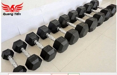 Tạ tay cao su lục giác cao cấp Iron Bull 10kg nhập khẩu ( giá 1 quả )