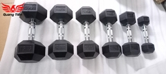 Tạ tay cao su lục giác cao cấp Iron Bull 25 kg nhập khẩu ( giá 1 quả )