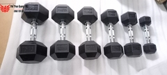 Tạ tay cao su lục giác cao cấp Iron Bull 10kg nhập khẩu ( giá 1 quả )