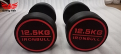 Tạ tay thép bọc cao su IronBull IR03 nhập khẩu chính hãng (giá 1 quả)