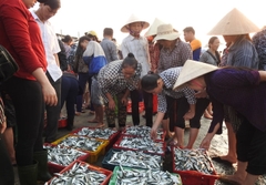 Cá bán giá bèo, ngư dân vẫn ngóng chính sách