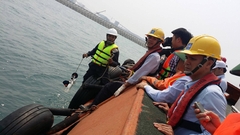 Chuyên gia Mỹ, Đức bắt đầu truy tìm nguyên nhân cá biển chết hàng loạt