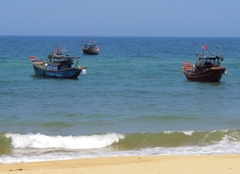 Sẽ công khai kết quả kiểm tra Formosa