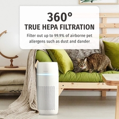 Máy lọc không khí khử mùi và lông vật nuôi 5-in-1 Homedics AP-PET35A-WT