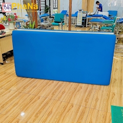 PN35S03 - Giường tập PHCN - Bobath(sắt)