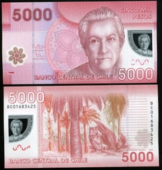 5000 pesos Chile 2013