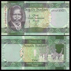 1 pound South Sudan 2011