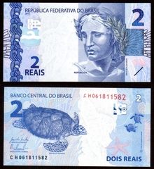 Tiền con rùa Brazil