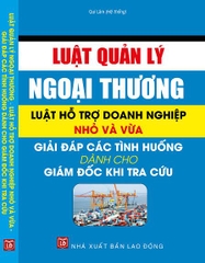 LUẬT QUẢN LÝ NGOẠI THƯƠNG – LUẬT HỖ TRỢ DOANH NGHIỆP NHỎ VÀ VỪA – GIẢI ĐÁP CÁC TÌNH HUỐNG DÀNH CHO GIÁM ĐỐC KHI TRA CỨU