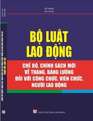 Sách Bộ Luật Lao Động - Chế Độ, Chính Sách Mới Về Thang, Bảng Lương Đối Với Công Chức, Viên Chức, Người Lao Động