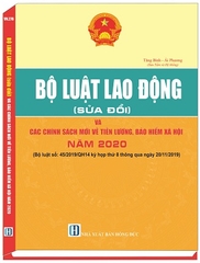 SÁCH BỘ LUẬT LAO ĐỘNG VÀ CÁC CHÍNH SÁCH MỚI VỀ TIỀN LƯƠNG, BẢO HIỂM XÃ HỘI NĂM 2020