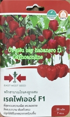 Hạt giống ớt habanero nhập Thái Lan 20 hạt