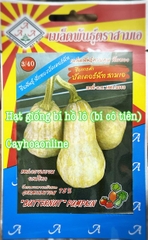 Hạt giống bí cô tiên (bí hồ lô) gói 10 hạt nguyên bao bì Thái Lan