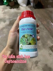 Bio rose, dòng trị nấm sinh học