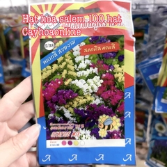 Hạt giống hoa salem mix màu 100 hạt nhập Thái Lan (limonium nhiều màu)