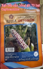 Hạt giống ngô nếp cẩm hồng 70 hạt nhập Thái Lan (bắp nếp cẩm hồng)