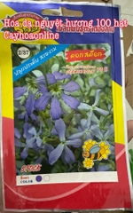 Hạt giống hoa Nguyệt Hương gói 100 hạt nhập Thái Lan (matthiola langipetala)