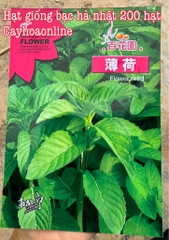 Hạt giống bạc hà Nhật gói 200 hạt nguyên gói Trung (japanese mint)