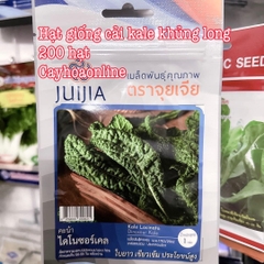 Hạt giống cải kale khủng long 200 hạt nhập khẩu Thái Lan (dinosuar kale) - cải dễ trồng