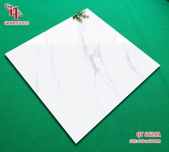 GẠCH LÁT 60x60: QT66201