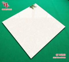 GẠCH LÁT 60x60: QT66203