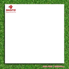 GẠCH LÁT 60x60: SANTO6000