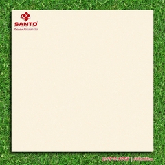 GẠCH LÁT 60x60: SANTO6003